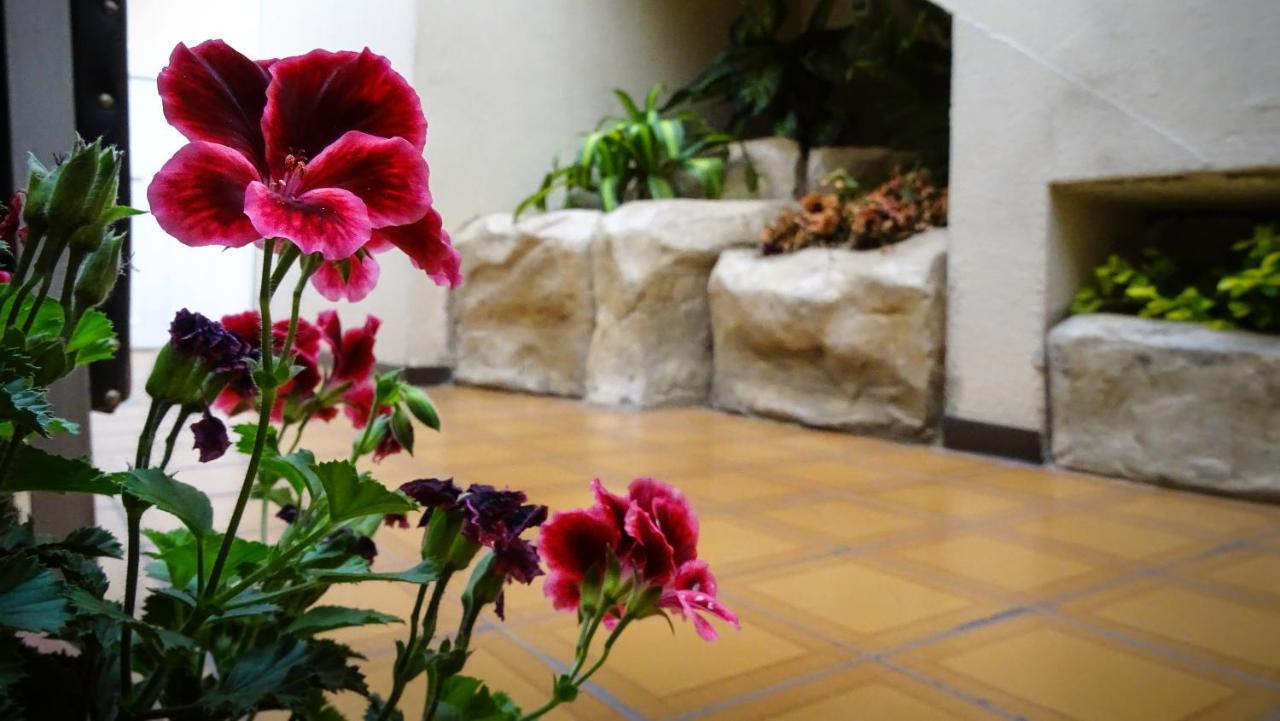 Hotel Mariscal Inn & Suite Κουένκα Εξωτερικό φωτογραφία
